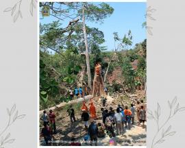 Kerjabakti dan Evakuasi Penebangan Pohon di Padukuhan Walikangin 